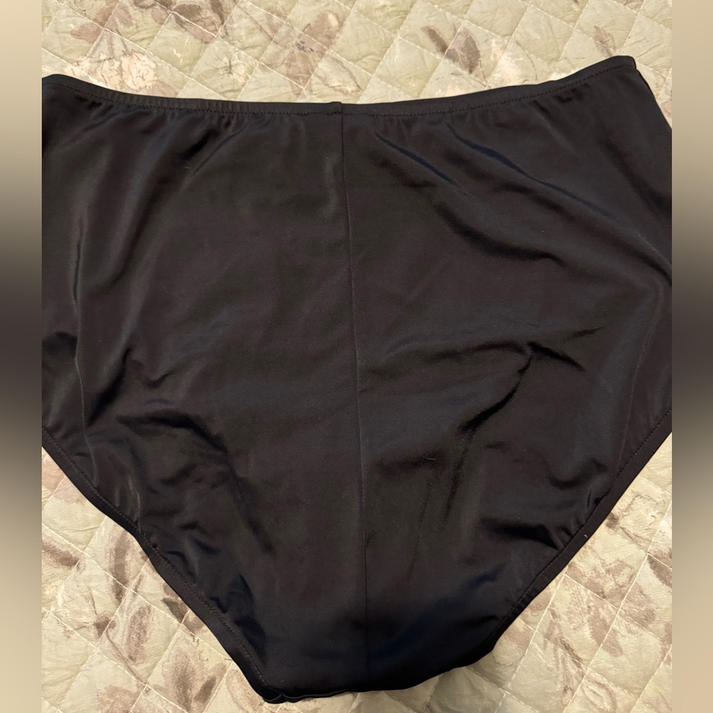 NWT Maxine of Hollywood Swim Briefs, Size 16